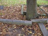 image of grave number 199250